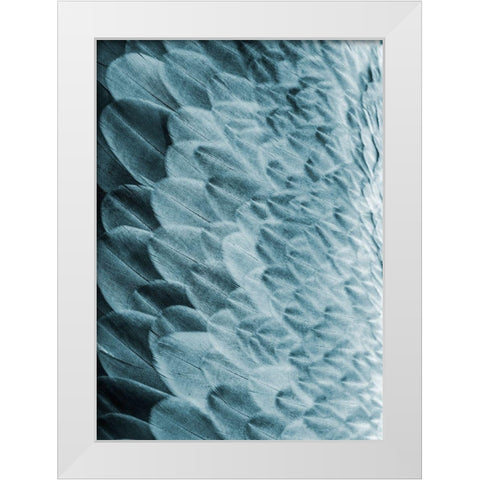 Volture I White Modern Wood Framed Art Print by Design Fabrikken