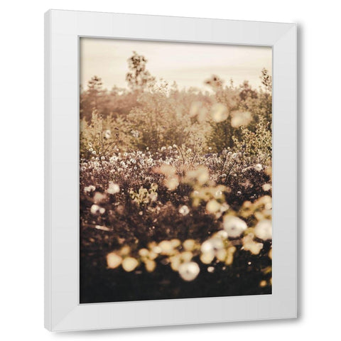 Golden Field White Modern Wood Framed Art Print by Design Fabrikken