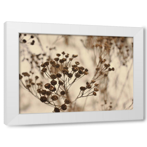 Secret 3 White Modern Wood Framed Art Print by Design Fabrikken