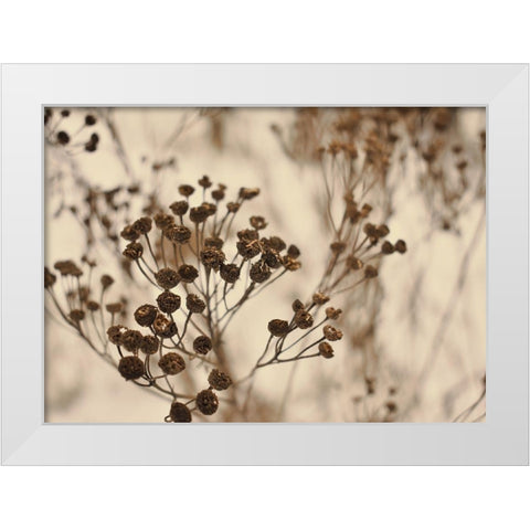 Secret 3 White Modern Wood Framed Art Print by Design Fabrikken