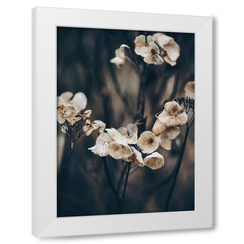 Secret 4 White Modern Wood Framed Art Print by Design Fabrikken