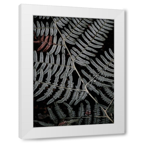 Secret 6 White Modern Wood Framed Art Print by Design Fabrikken