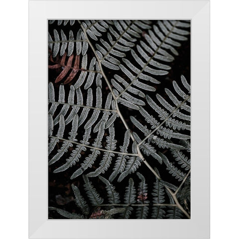 Secret 6 White Modern Wood Framed Art Print by Design Fabrikken