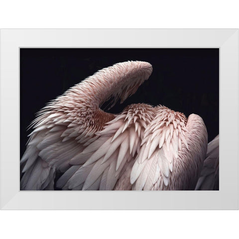 Flamboyance 2 White Modern Wood Framed Art Print by Design Fabrikken
