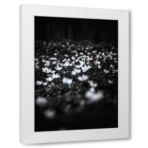 Windflowers White Modern Wood Framed Art Print by Design Fabrikken