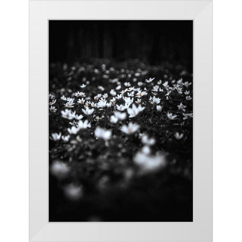 Windflowers White Modern Wood Framed Art Print by Design Fabrikken