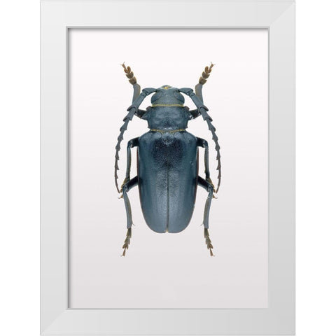 Beetle 3 White Modern Wood Framed Art Print by Design Fabrikken