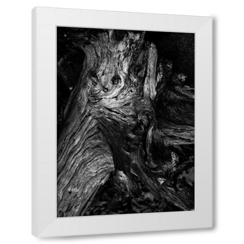Black Wood White Modern Wood Framed Art Print by Design Fabrikken