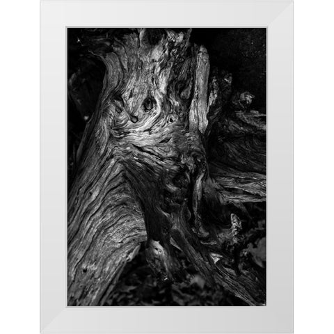 Black Wood White Modern Wood Framed Art Print by Design Fabrikken