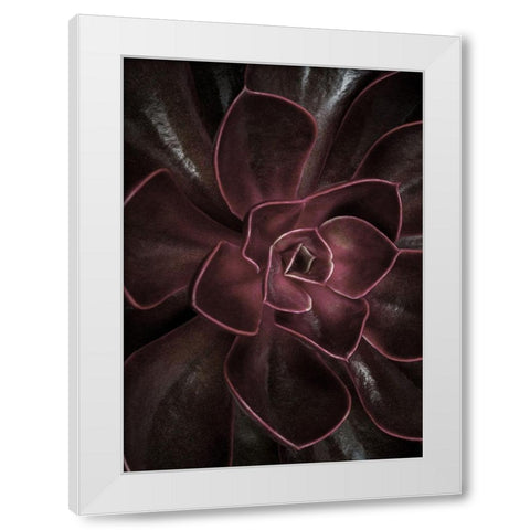 Secret 16 White Modern Wood Framed Art Print by Design Fabrikken