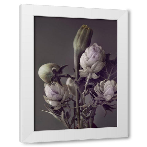 Secret 13 White Modern Wood Framed Art Print by Design Fabrikken