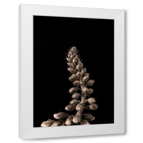 Upwards 2 White Modern Wood Framed Art Print by Design Fabrikken