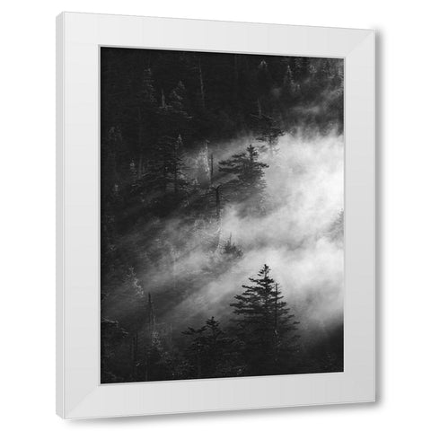 Misty Pine Woods White Modern Wood Framed Art Print by Design Fabrikken