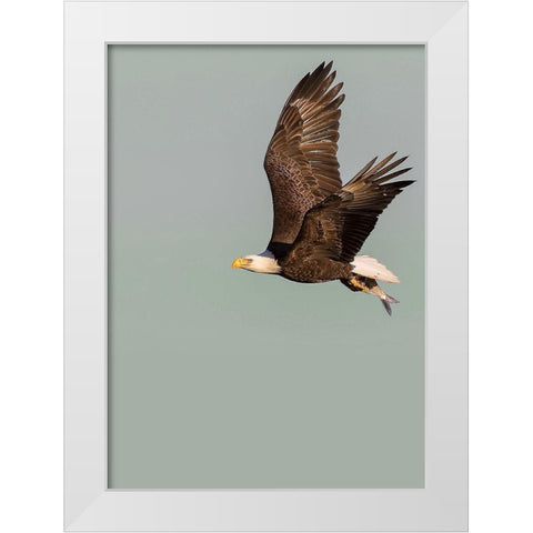 In the Sky 3 White Modern Wood Framed Art Print by Design Fabrikken