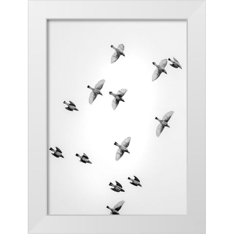 In the Sky 1 White Modern Wood Framed Art Print by Design Fabrikken