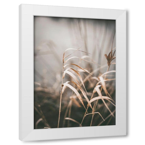 Reed 2 White Modern Wood Framed Art Print by Design Fabrikken