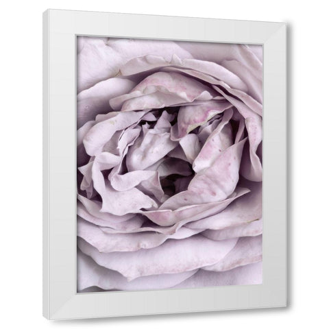 Rose Heart White Modern Wood Framed Art Print by Design Fabrikken