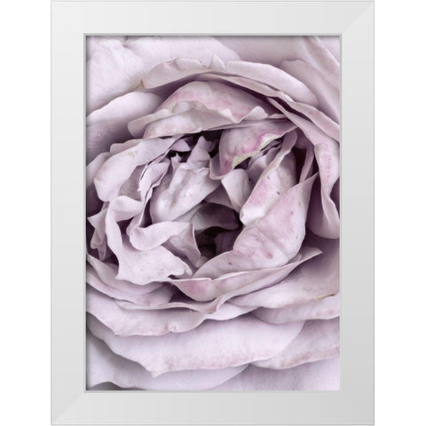 Rose Heart White Modern Wood Framed Art Print by Design Fabrikken