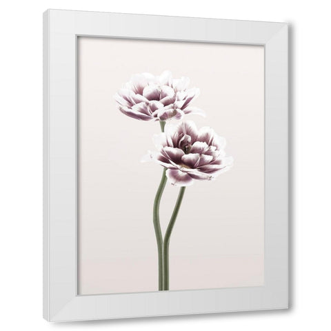 Cosmos 1 White Modern Wood Framed Art Print by Design Fabrikken