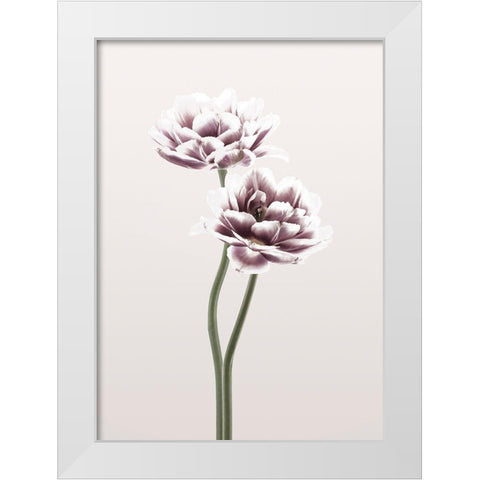 Cosmos 1 White Modern Wood Framed Art Print by Design Fabrikken