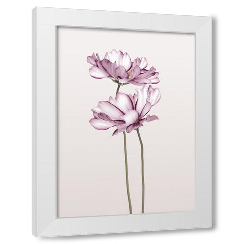 Cosmos 2 White Modern Wood Framed Art Print by Design Fabrikken