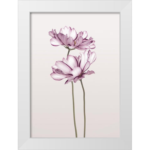 Cosmos 2 White Modern Wood Framed Art Print by Design Fabrikken