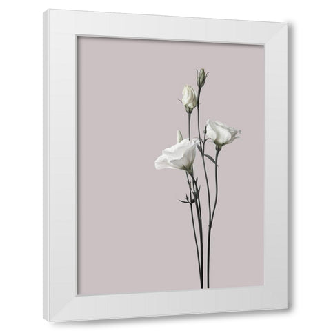 Flower 2 White Modern Wood Framed Art Print by Design Fabrikken