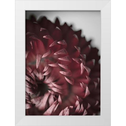 Dahlia White Modern Wood Framed Art Print by Design Fabrikken