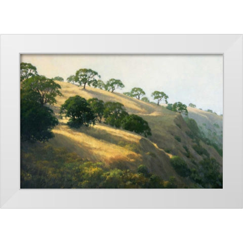 Afternoon Shadows White Modern Wood Framed Art Print by Oleary, Kathy