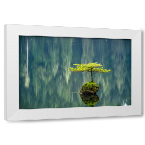 Fairy Lake Bonsai White Modern Wood Framed Art Print by Oldford, Tim
