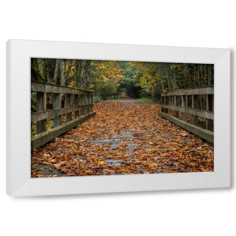 Fall on the Goose (Victoria) White Modern Wood Framed Art Print by Oldford, Tim
