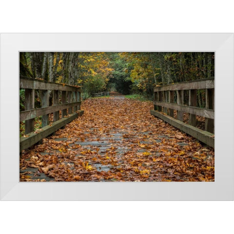 Fall on the Goose (Victoria) White Modern Wood Framed Art Print by Oldford, Tim