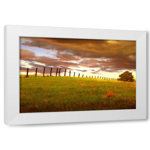 Fenceline, South Dakota White Modern Wood Framed Art Print by ODell, Dale