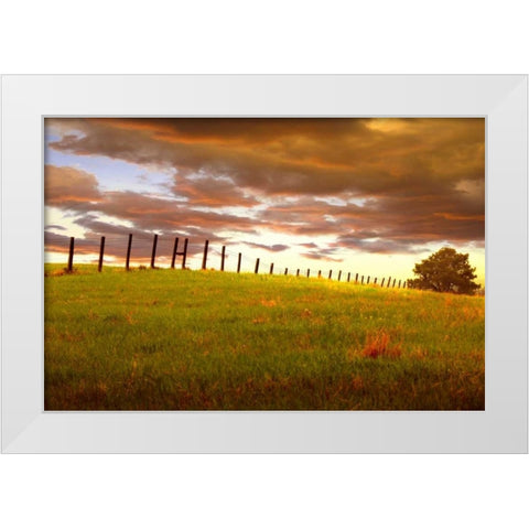 Fenceline, South Dakota White Modern Wood Framed Art Print by ODell, Dale