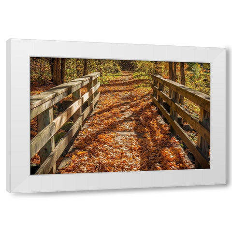 Fall On The Footbridge White Modern Wood Framed Art Print by Oldford, Tim