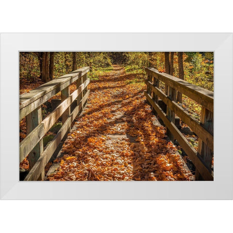 Fall On The Footbridge White Modern Wood Framed Art Print by Oldford, Tim