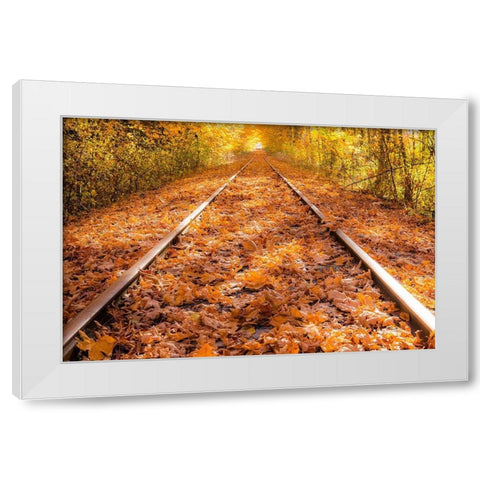 Train Tracks in The Fall White Modern Wood Framed Art Print by Oldford, Tim