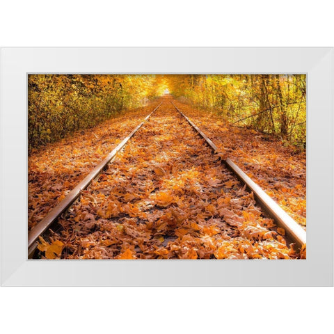 Train Tracks in The Fall White Modern Wood Framed Art Print by Oldford, Tim