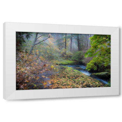 Snow in Fall White Modern Wood Framed Art Print by Oldford, Tim