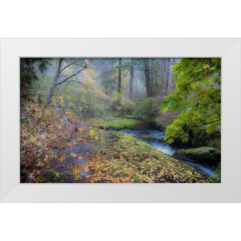 Snow in Fall White Modern Wood Framed Art Print by Oldford, Tim