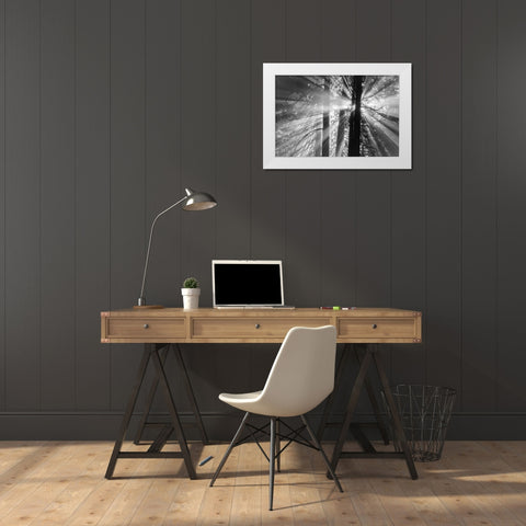 Rays White Modern Wood Framed Art Print by Oldford, Tim