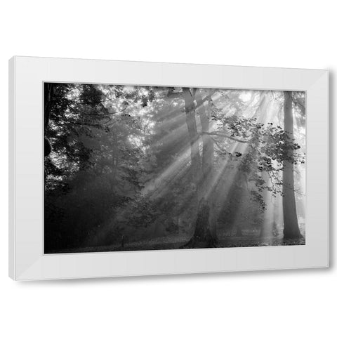 In a Haze White Modern Wood Framed Art Print by Oldford, Tim