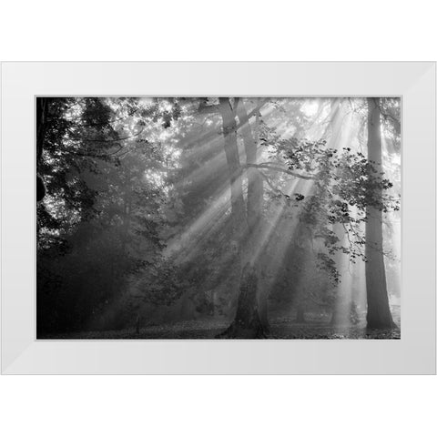 In a Haze White Modern Wood Framed Art Print by Oldford, Tim