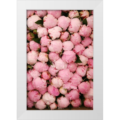 Peony 2 White Modern Wood Framed Art Print by Okula, Carina
