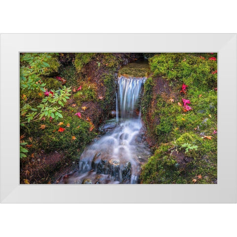 Tranquility Falls White Modern Wood Framed Art Print by Oldford, Tim