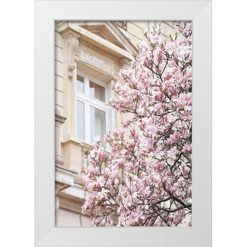 Pink Spring Magnolias in Paris White Modern Wood Framed Art Print by Okula, Carina