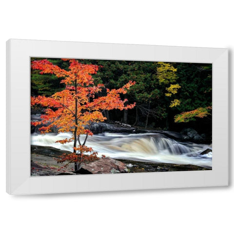 Autumn, Lower Rosseau Falls White Modern Wood Framed Art Print by Pollard, David W.