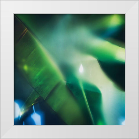 Evergreen No. 1 White Modern Wood Framed Art Print by Pfrommer, Sven