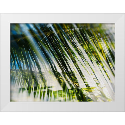 Evergreen No. 10 White Modern Wood Framed Art Print by Pfrommer, Sven