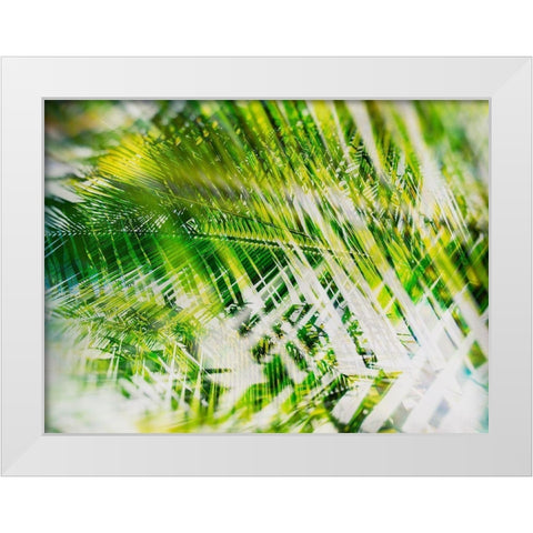 Evergreen No. 11 White Modern Wood Framed Art Print by Pfrommer, Sven